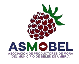 Asmobel