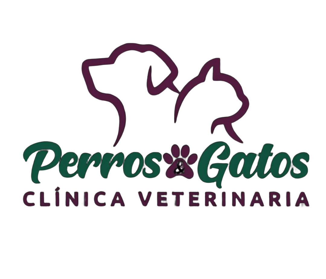 Perros y Gatos